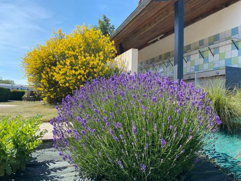 Camping Le Clos Des Genêts - Camping Somme - Image N°29