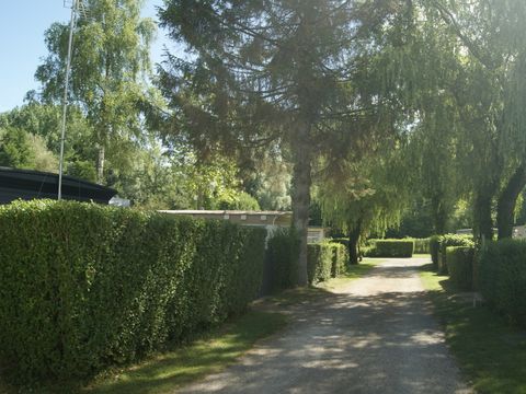 Camping De La Route Fleurie - Camping Pas-de-Calais - Image N°7