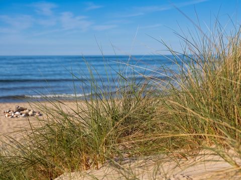 Camping Domaine de La Pinede - Camping Pas-de-Calais - Image N°27