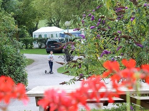 Camping Les Cytises - Camping Pas-de-Calais - Image N°7
