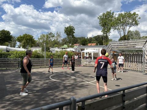 Camping Les Cytises - Camping Pas-de-Calais - Image N°4