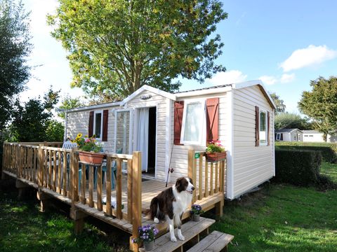 MOBILHOME 4 personnes - Confort - 2 chambres MOBILHOME 4 personnes - Confort - 2 chambres