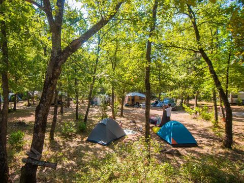 Flower Camping Jas du Moine - Camping Alpes-de-Haute-Provence - Image N°5
