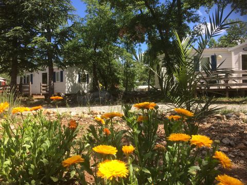 MOBILHOME 4 personnes - Premium 29m² - 2 chambres + terrasse semi-couverte + TV + LV + clim + draps inclus