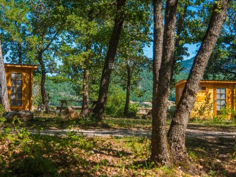Flower Camping Jas du Moine - Camping Alpes-de-Haute-Provence - Image N°10