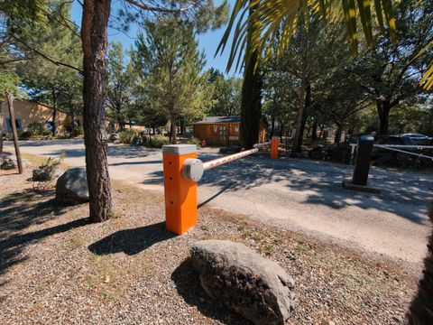Flower Camping Jas du Moine - Camping Alpes-de-Haute-Provence - Image N°39