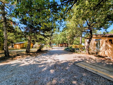 Flower Camping Jas du Moine - Camping Alpes-de-Haute-Provence - Image N°18