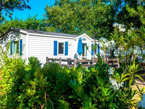 Flower Camping Jas du Moine - Camping Alpes-de-Haute-Provence - Image N°30