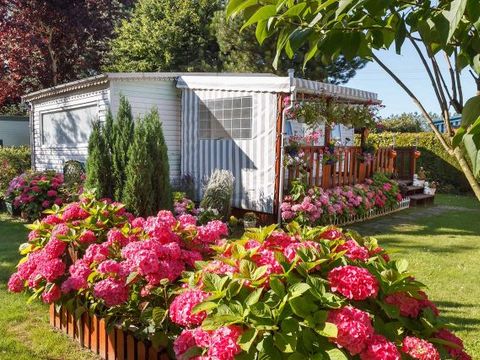Camping Ferme de la Hooghe Moote - Camping Nord - Image N°16