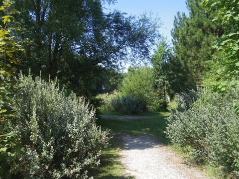 Camping Ferme de la Hooghe Moote - Camping Nord - Image N°5