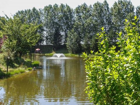 Camping Ferme de la Hooghe Moote - Camping Nord - Image N°14