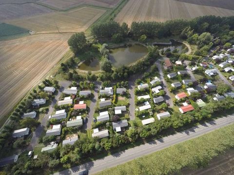 Camping Ferme de la Hooghe Moote - Camping Nord - Image N°13