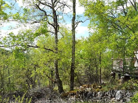 Camping Les Hauts d'Albas - Camping Lot - Image N°22