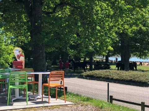 Chalets de Vingeanne - Camping Haute-Marne - Image N°40