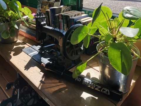 Camping Domaine de Kerelly - Camping Morbihan - Image N°24