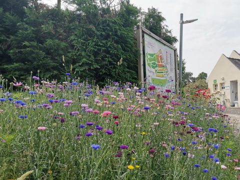 Camping Domaine de Kerelly - Camping Morbihan - Image N°20