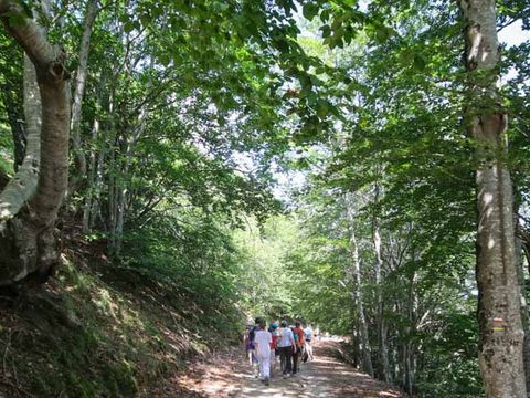 Ushuaïa Villages - Domaine de Ravel - Camping Gard - Image N°5