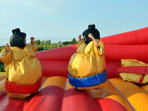 Camping Saint Meen - Camping Hérault - Image N°12