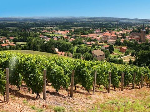 Camping d'Arpheuilles - Camping Loire - Image N°39