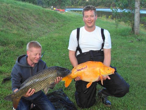 Camping d'Arpheuilles - Camping Loire - Image N°16