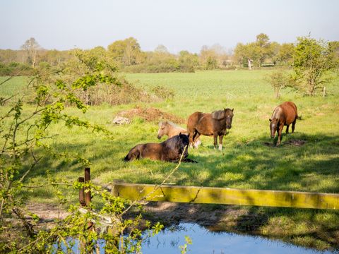 Le Domaine de La Barre - La Ferme St Michel - Camping Deux-Sèvres - Image N°10