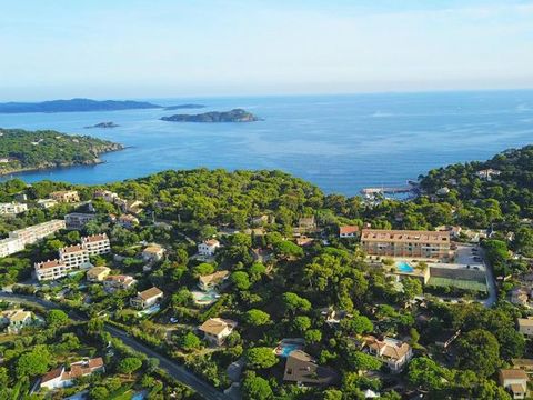 Camping Clair de Lune - Camping Var - Image N°2