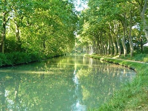 Camping L'Escale Occitane - Camping Aude - Image N°13
