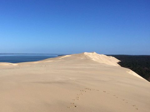 Camping Les Arbousiers - Camping Gironde - Image N°15