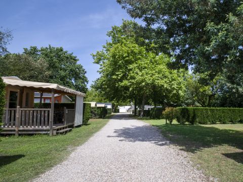 Camping Les Arbousiers - Camping Gironde - Image N°18