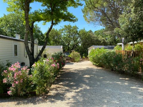 Camping La Vallée De Barry - Camping Vaucluse - Image N°4