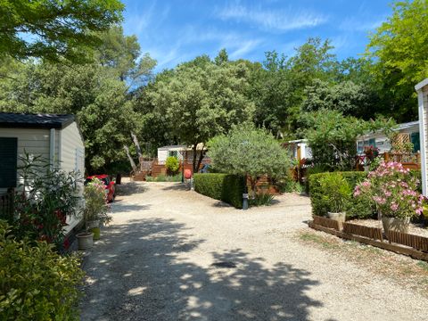 Camping La Vallée De Barry - Camping Vaucluse - Image N°5