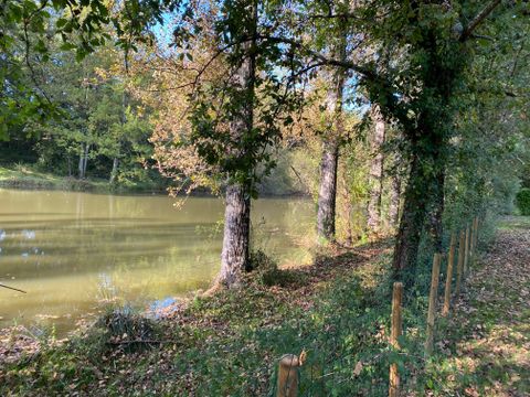Camping Le Faucon d'Or - Camping Tarn-et-Garonne - Image N°19