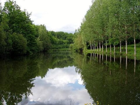 Camping Le Faucon d'Or - Camping Tarn-et-Garonne - Image N°19