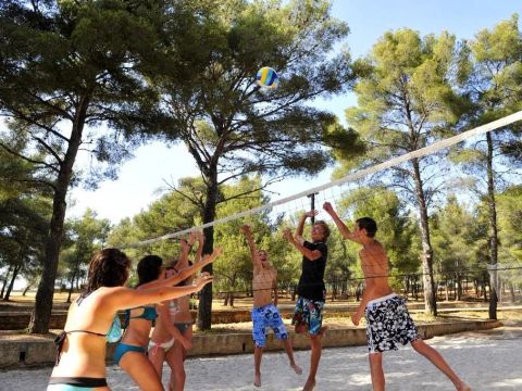 Camping AEC Vacances Les Dauphins - Camping Var - Image N°3