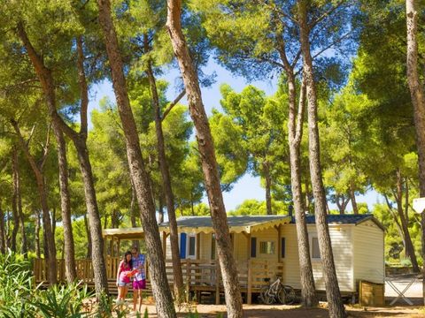 Camping AEC Vacances Les Dauphins - Camping Var - Image N°3