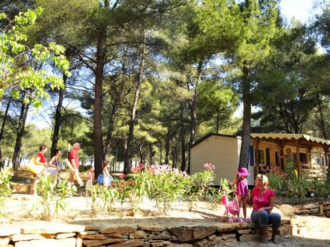 Camping AEC Vacances Les Dauphins - Camping Var - Image N°5