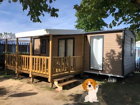 MOBILHOME 4 personnes - CANI COTTAGE 2 chambres env. 30m²