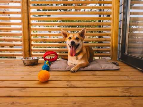 MOBILHOME 6 personnes - CANI COTTAGE 3 chambres env. 30m²