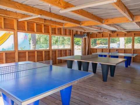 Tours Opérateurs sur Camping Le Château - Camping Vendée - Image N°10