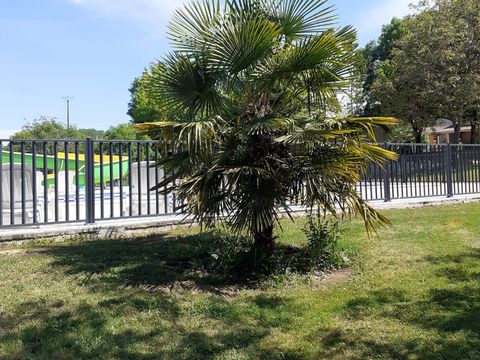 Camping Le Convivial - Camping Dordogne - Image N°6