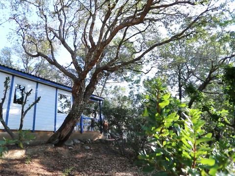 CHALET 5 personnes - Chalet Catégorie A (samedi/samedi) -