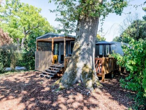 MOBILHOME 4 personnes - Cottage Pyla 3 Pièces 4 Personnes Climatisé + TV