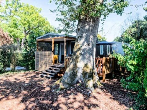 Mobilhome 4 personnes - Cottage Pyla 3 Pièces 4 Personnes Climatisé + TV