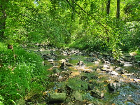 Camping Le Chaudebry - Camping Ardèche - Image N°13