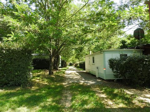 Mobilhome 4 personnes - Vintage 24 m² - 2 chambres