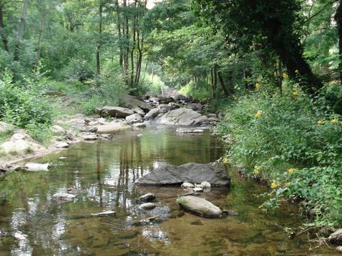 Camping Le Chaudebry - Camping Ardèche - Image N°14
