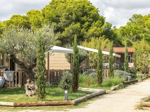 Camping El Garrofer - Camping Barcelone - Image N°17