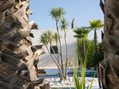 Camping L'Orangeraie  - Camping Castellón - Image N°36