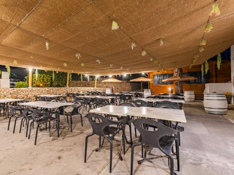 Camping L'Orangeraie  - Camping Castellón - Image N°34