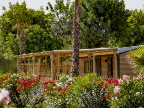 MOBILHOME 6 personnes - TROPICAL TOSCANA 4/6 PERS